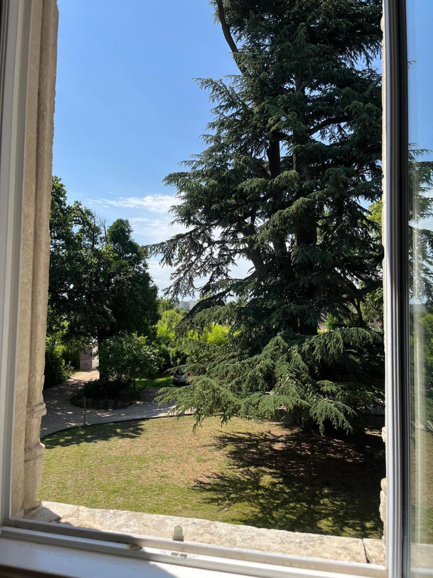 Le Clos Du Cedre Saint-Ouen  Buitenkant foto